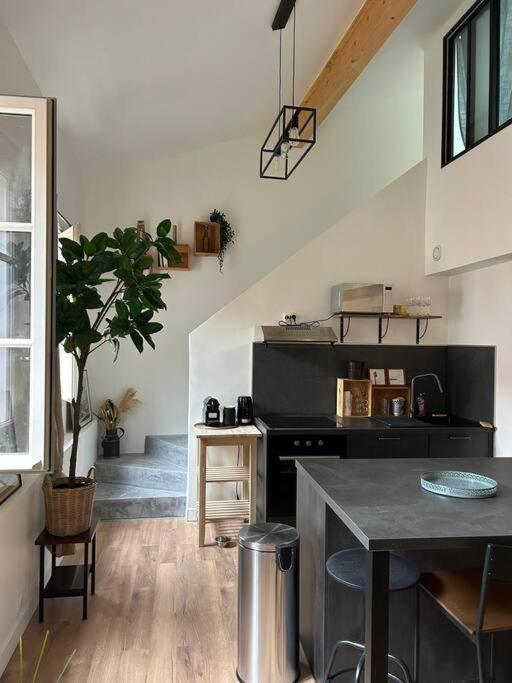 Le Duplex Catherine - Metro - Gare - Wifi Toulouse Ngoại thất bức ảnh