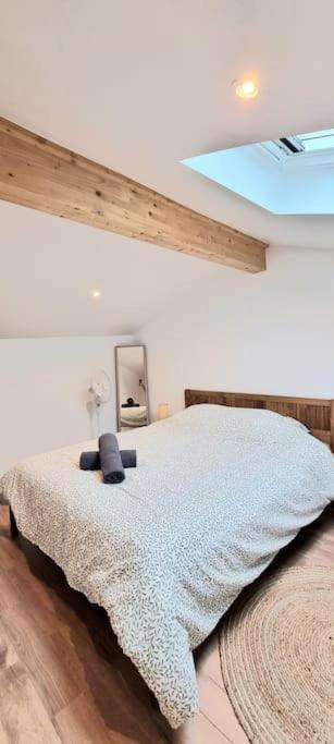 Le Duplex Catherine - Metro - Gare - Wifi Toulouse Ngoại thất bức ảnh